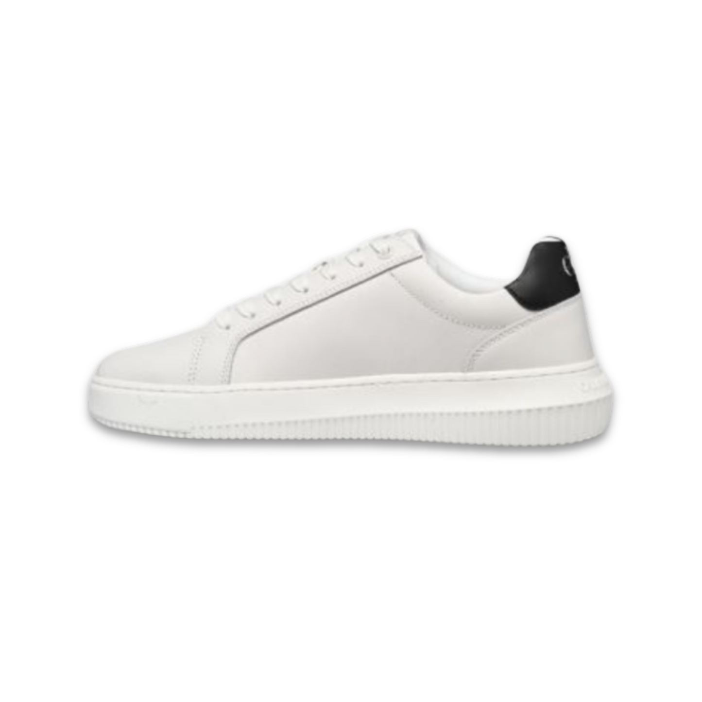 Baskets Calvin Klein